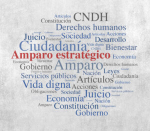 Funcionalidad de los amparos estratégicos