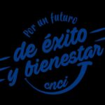 Desarrollador de Contenidos