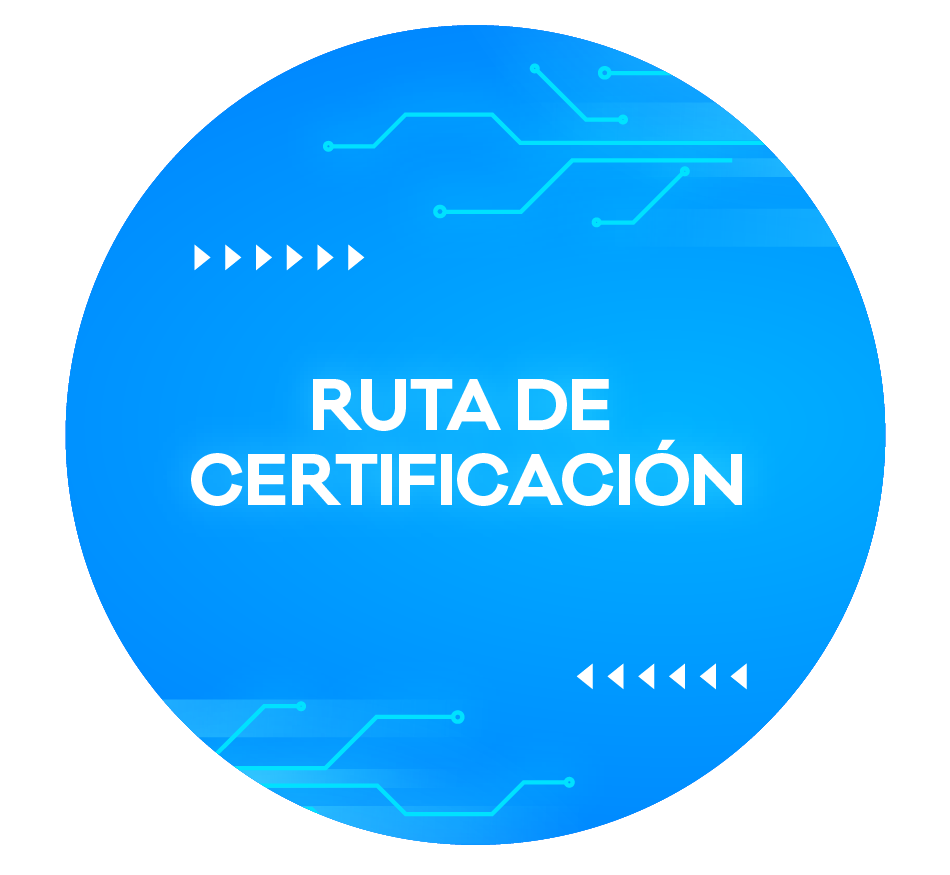 INSIGNIAS EDUCACION-04