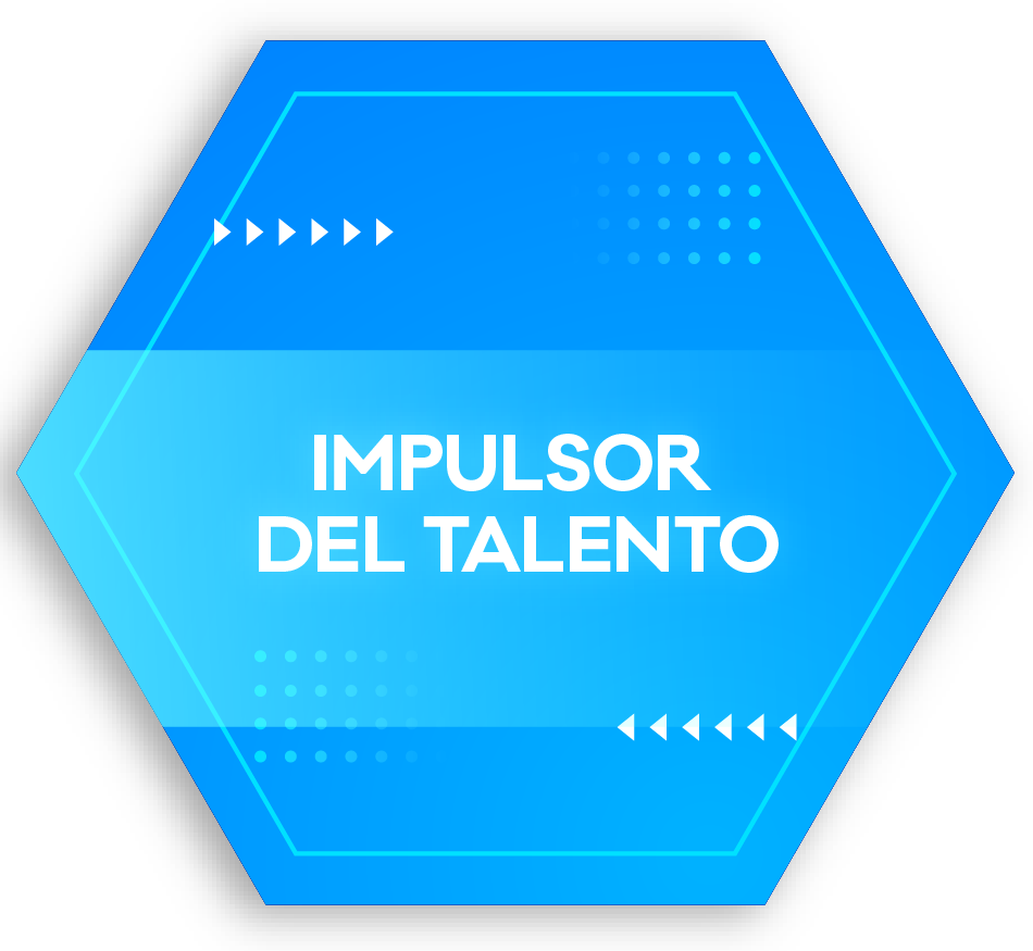 INSIGNIAS EDUCACION-05